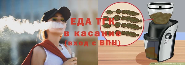 крисы Абаза