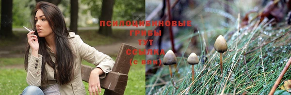 дживик Алзамай