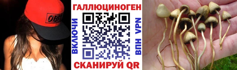 где продают наркотики  Пыталово  mega как зайти  Псилоцибиновые грибы ЛСД 